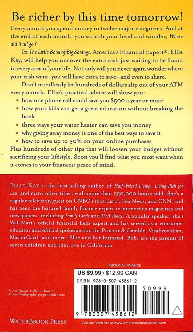 The Little Book Of Big Savings - Re-vived