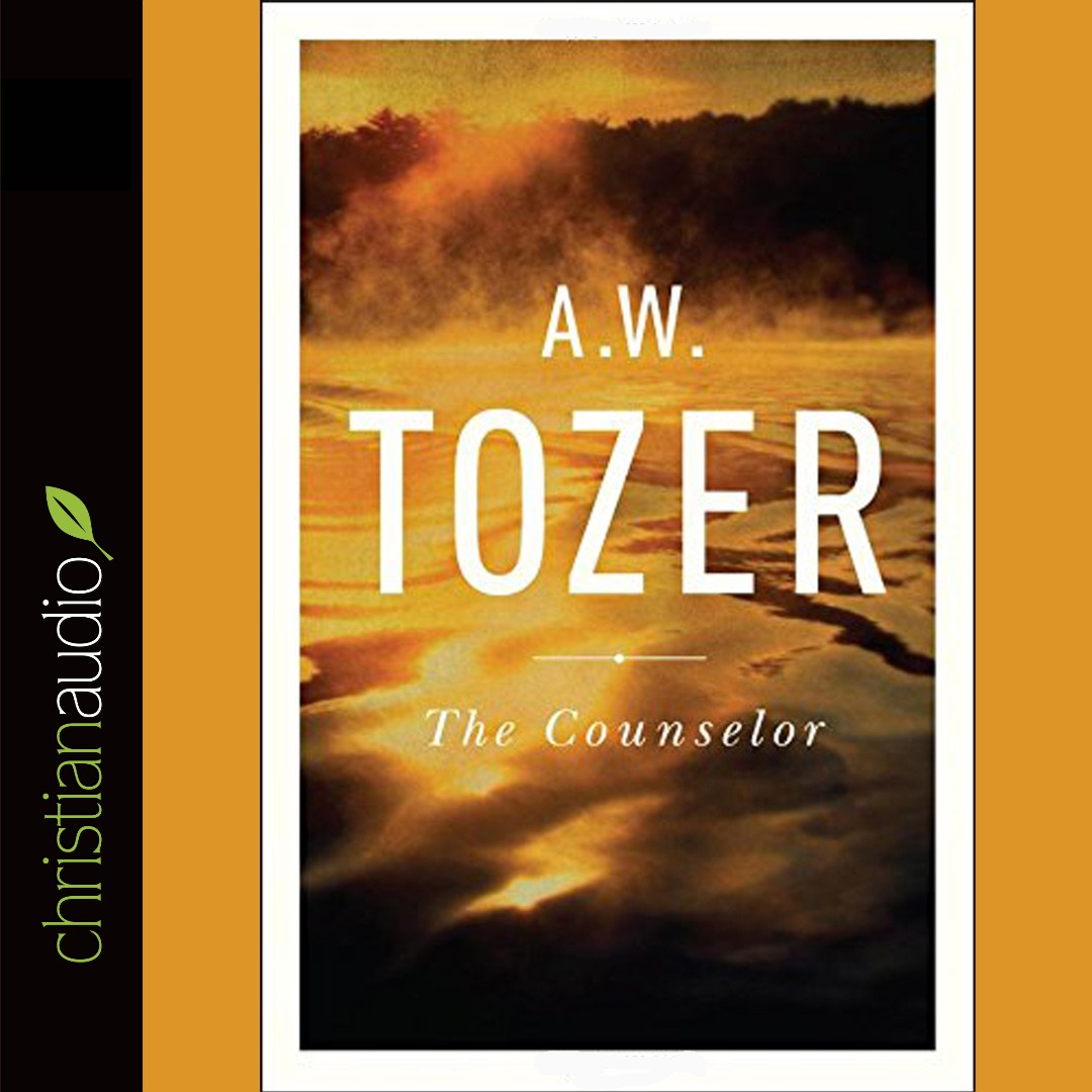 The Counselor CD - Re-vived