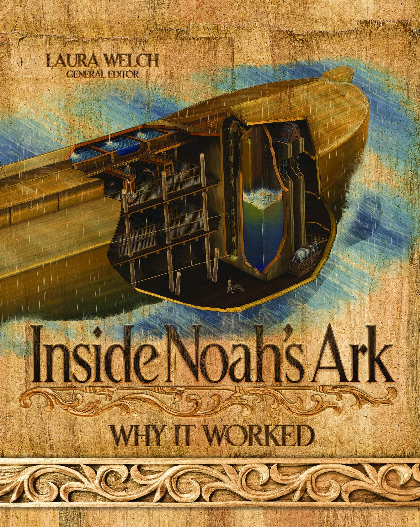 Inside Noah's Ark - Re-vived