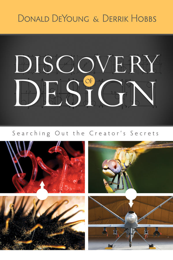 Discovery Of Design - Re-vived