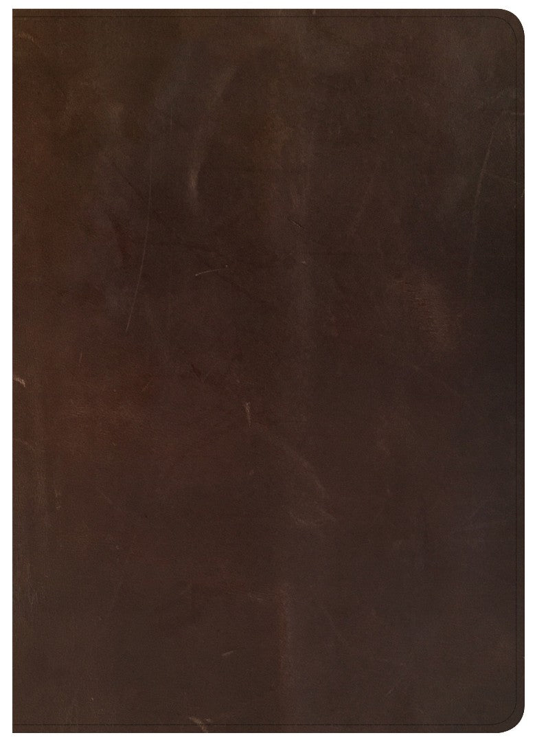 CSB She Reads Truth Bible, Brown Genuine Leather - Re-vived