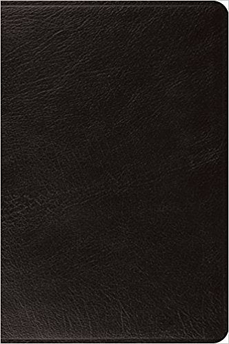 ESV Large Print Bible (Black) - Re-vived