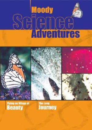 Flying on Wings of Beauty and The Long Journey DVD - Re-vived