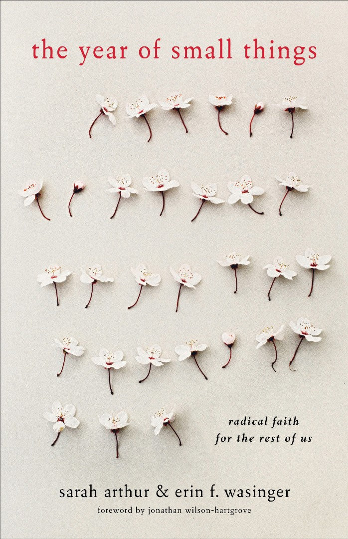 The Year Of Small Things - Re-vived