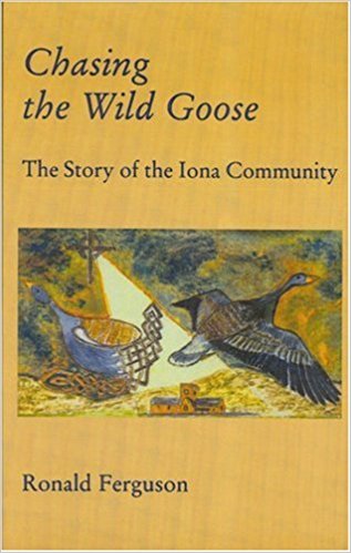 Chasing The Wild Goose - Re-vived