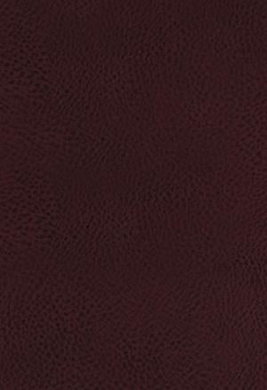 KJV Study Bible, The, Bonded Leather, Full-Color Ed. - Re-vived