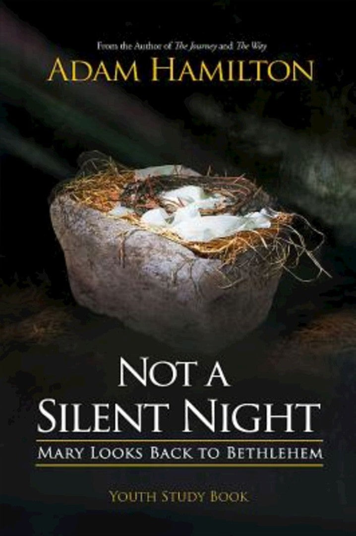 Not a Silent Night Youth Study Book - Re-vived