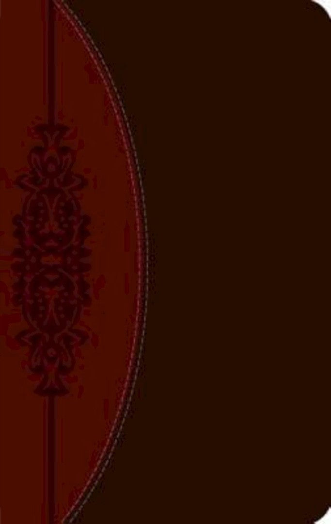 CEB Wesley Study Bible, DecoTone - Re-vived