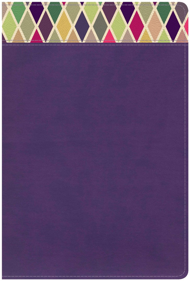 CSB Rainbow Study Bible, Purple LeatherTouch - Re-vived