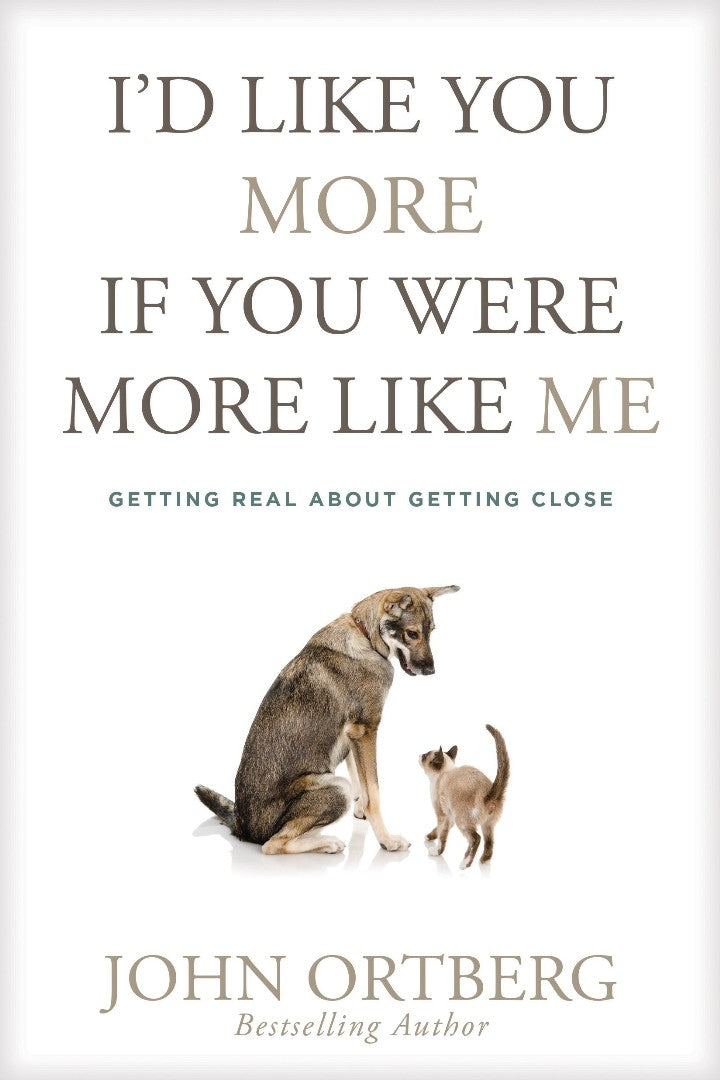 I'd Like You More If You Were More Like Me - Re-vived