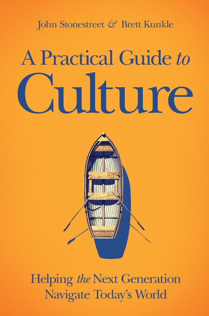 A Practical Guide To Culture - Re-vived