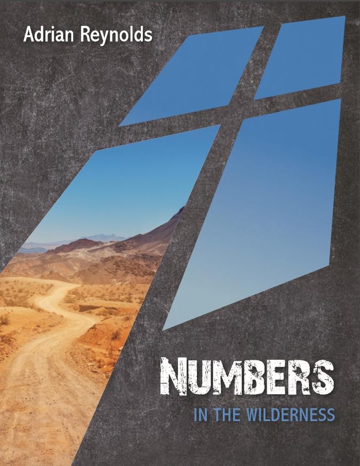 Numbers: In The Wilderness - Re-vived