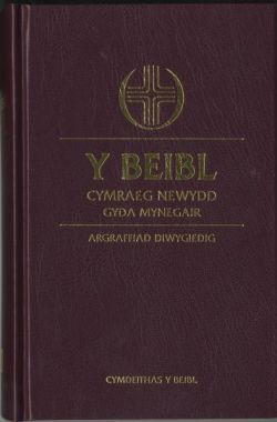 Beibl Cymraeg Newydd Revised with Concordance - Re-vived