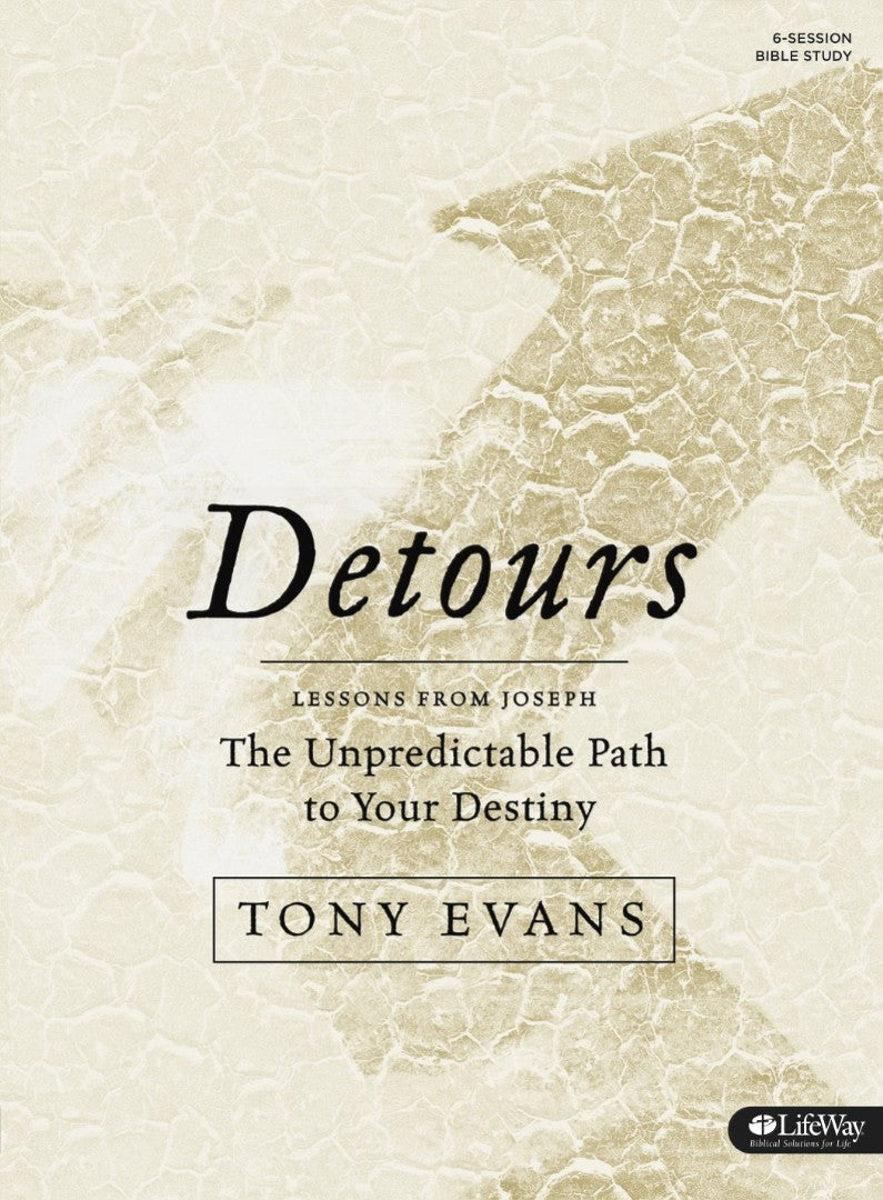 Detours - Bible Study Book - Re-vived