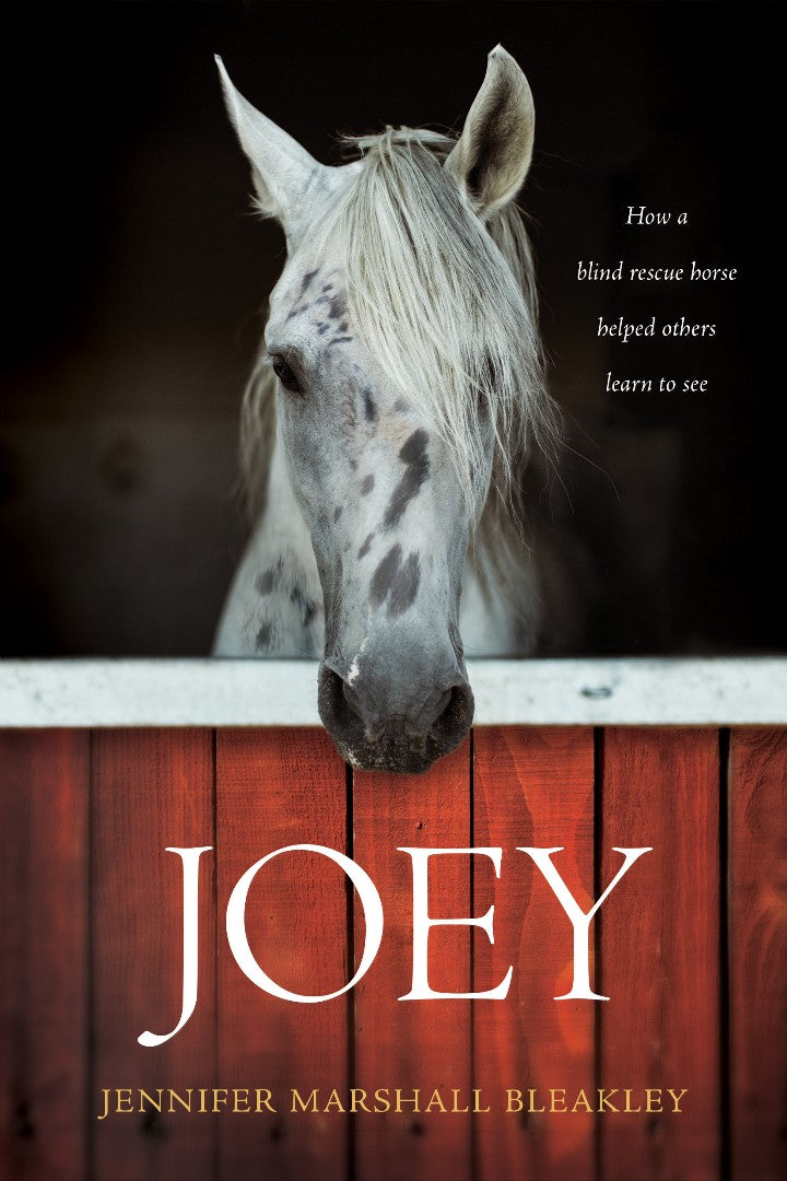 Joey - Re-vived