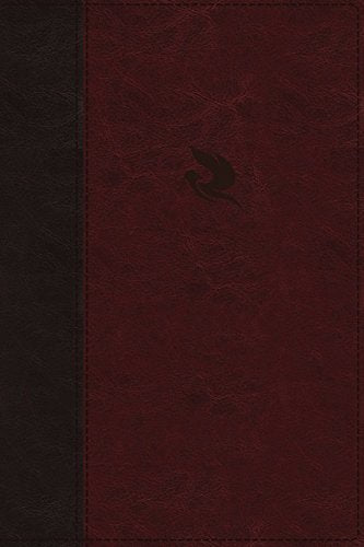 NKJV Spirit-Filled Life Bible, Burgundy, Red Letter Ed. - Re-vived