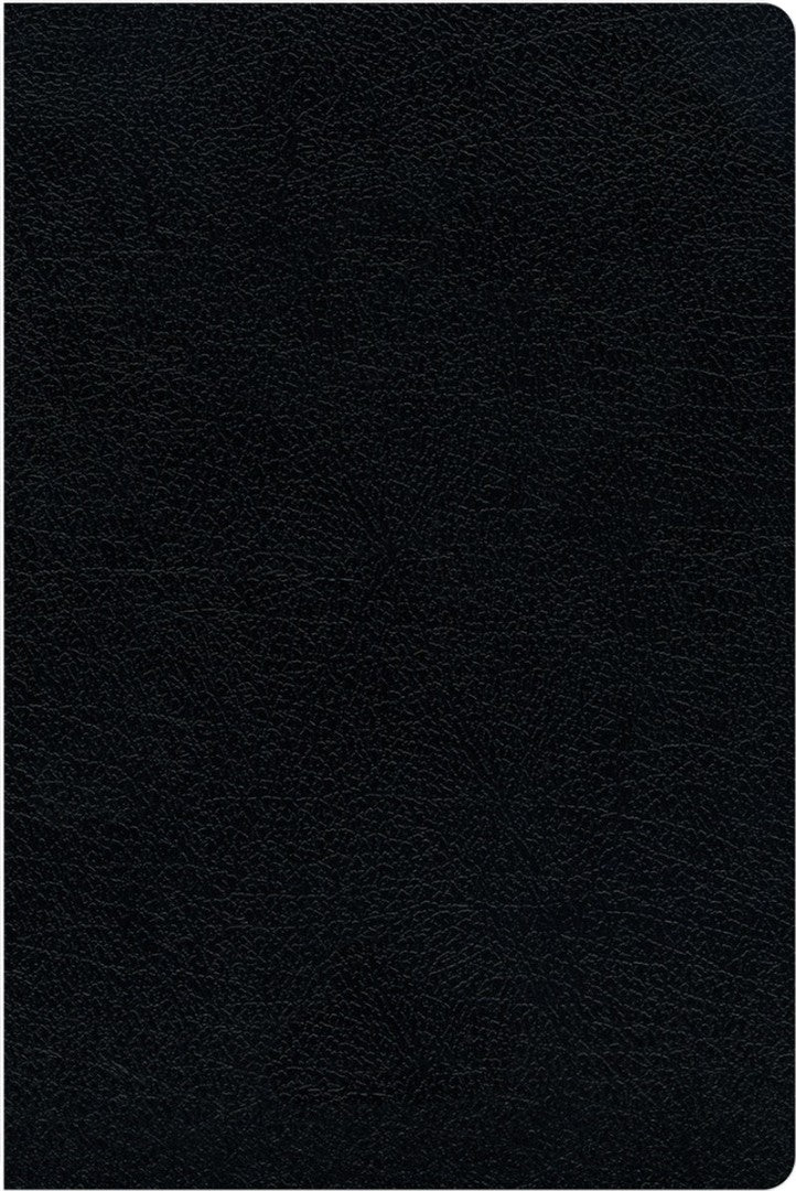 KJV Amplified Parallel Bible, Black, Large Print, Red Letter - Re-vived