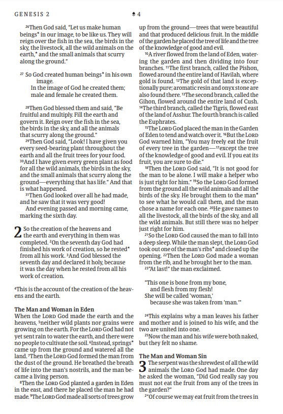 NLT Large Print Thinline Reference Bible, Filament Edition - Re-vived