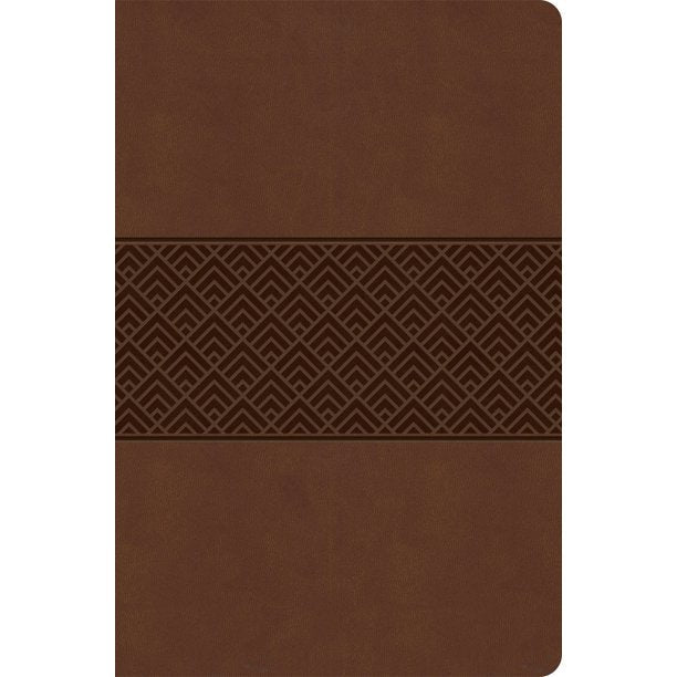 CSB Everyday Study Bible, Brown Burnished, Global - Re-vived