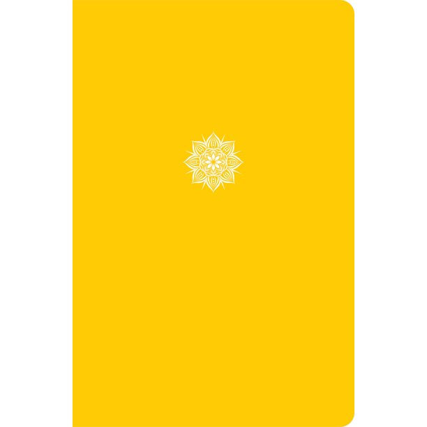 CSB Everyday Study Bible, Yellow Color-Pop, Global - Re-vived