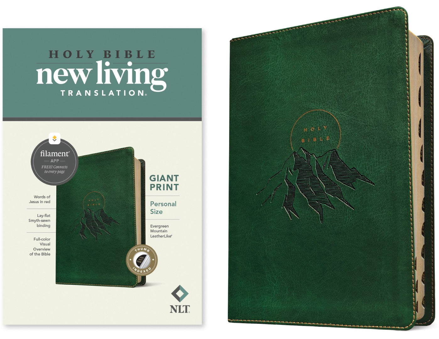NLT Personal Size Giant Print Bible, Filament Edition - Re-vived