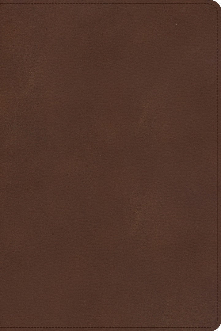CSB Rainbow Study Bible, Brown LeatherTouch - Re-vived