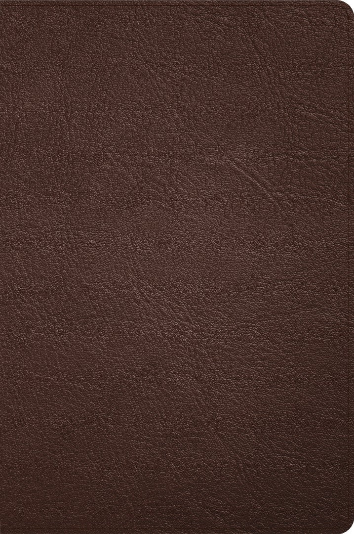 CSB Large Print Thinline Bible, Handcrafted Collection - Re-vived