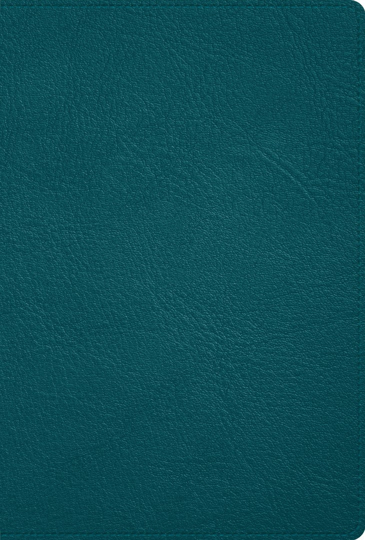 RVR 1960 Biblia Deluxe verde turquesa, piel genuina - Re-vived