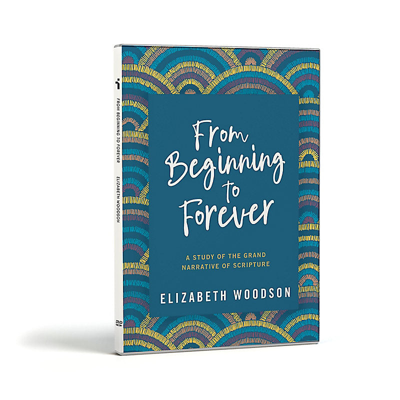 From Beginning to Forever DVD - Re-vived