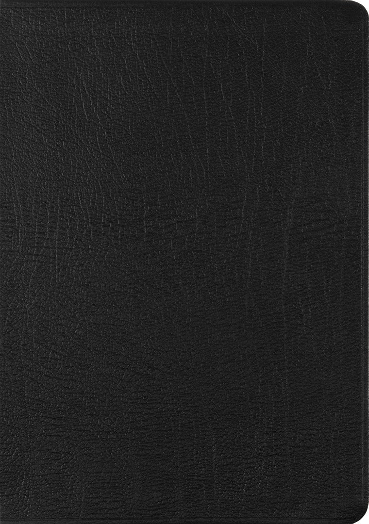 ESV New Testament with Psalms and Proverbs - Re-vived