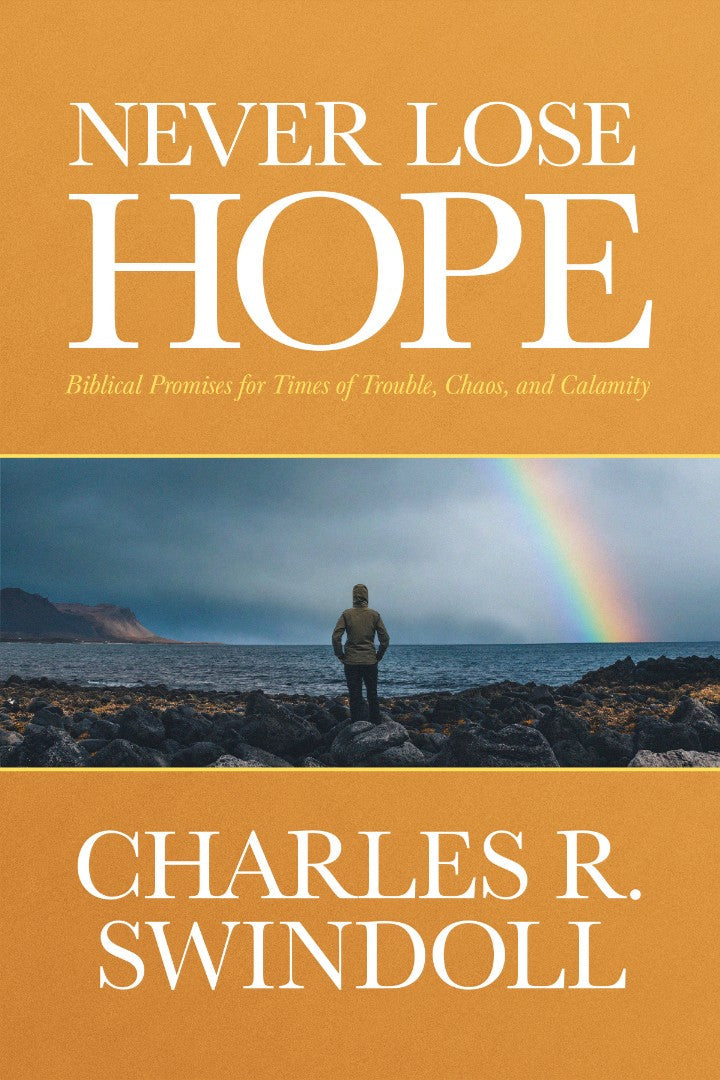 Never Lose Hope - Re-vived