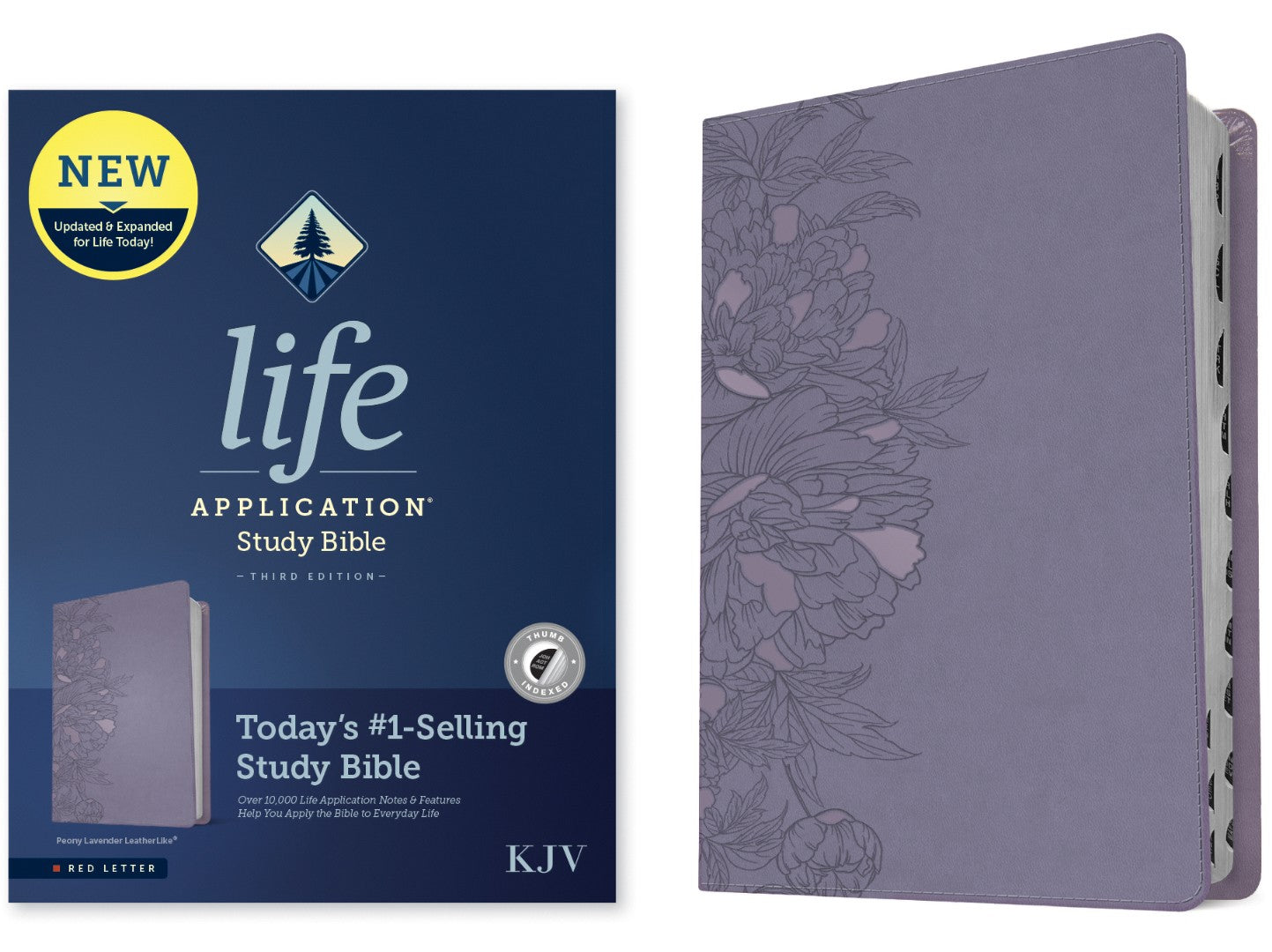 KJV Life Application Study Bible, Third Edition, Peony - Re-vived