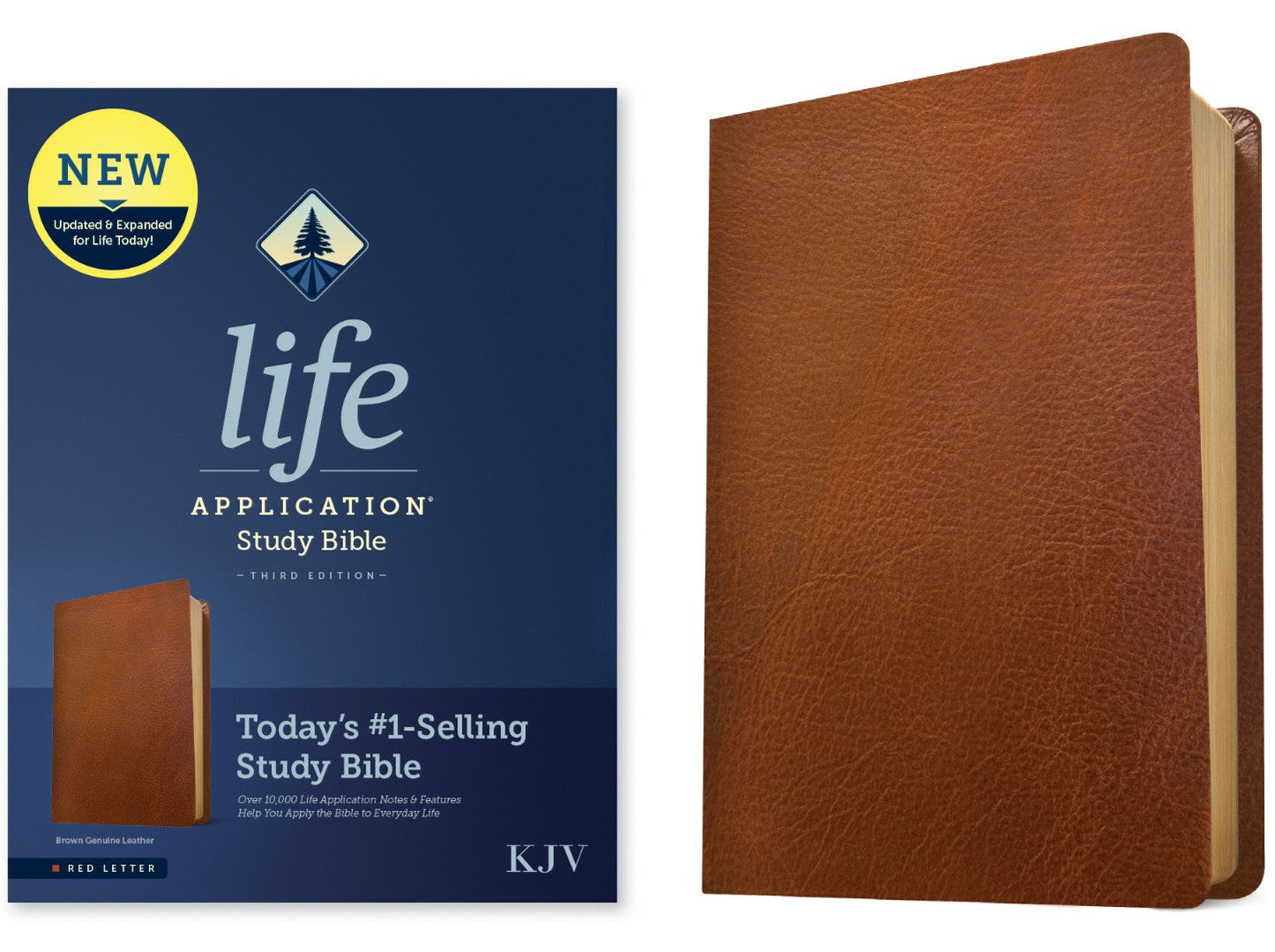 KJV Life Application Study Bible, Third Edition, Brown - Re-vived