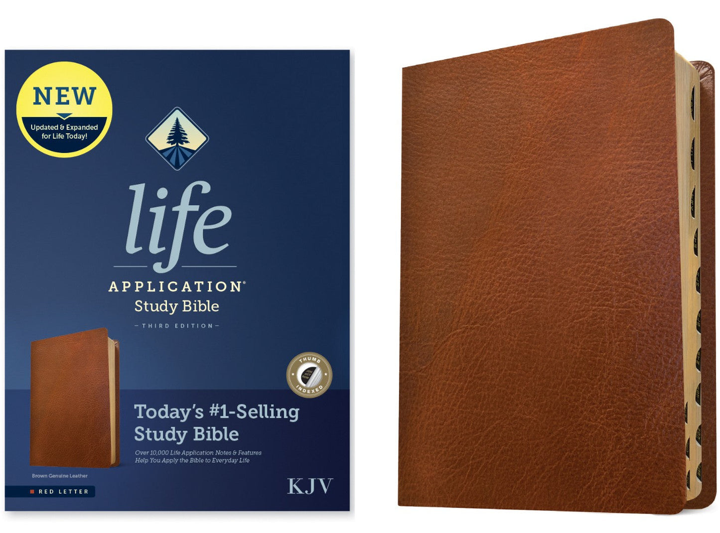 KJV Life Application Study Bible, Third Edition, Brown - Re-vived