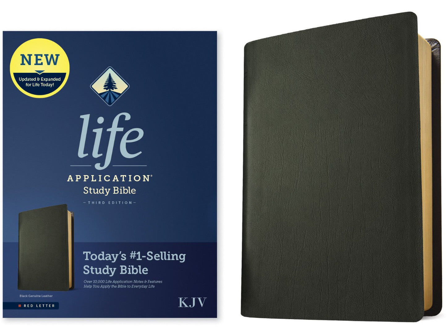 KJV Life Application Study Bible, Third Edition, Black - Re-vived