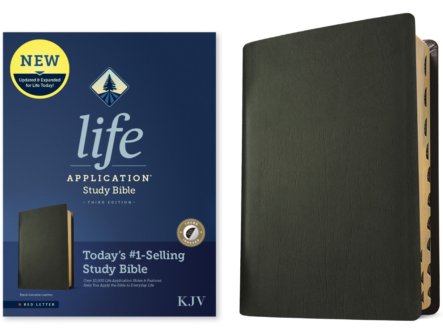 KJV Life Application Study Bible, Third Edition, Black - Re-vived