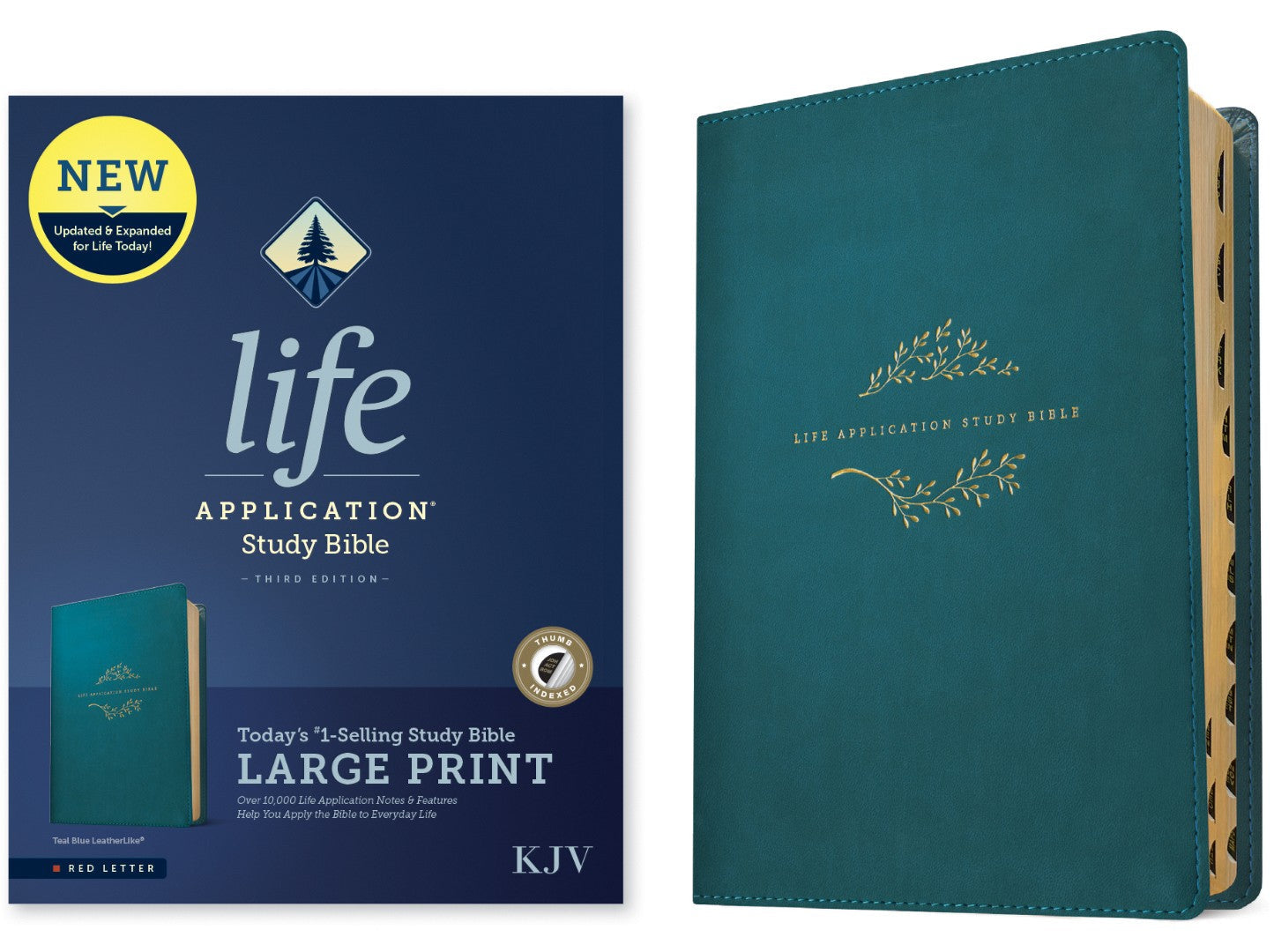 KJV Life Application Study Bible, Third Edition, Large Print - Re-vived