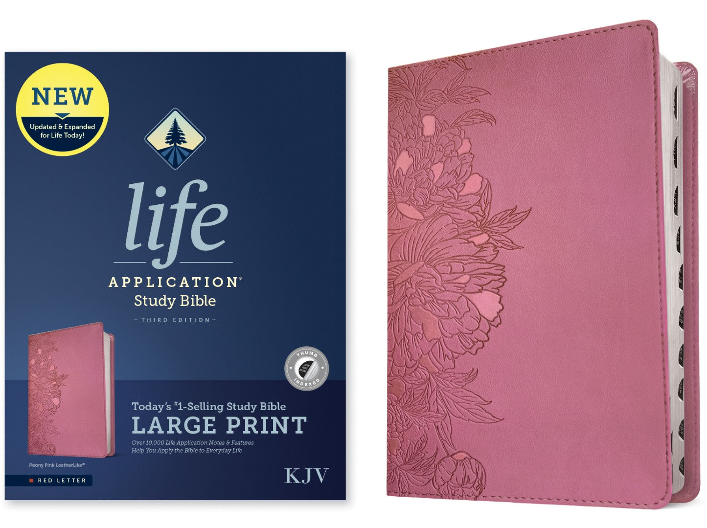 KJV Life Application Study Bible, Third Edition, Large Print - Re-vived