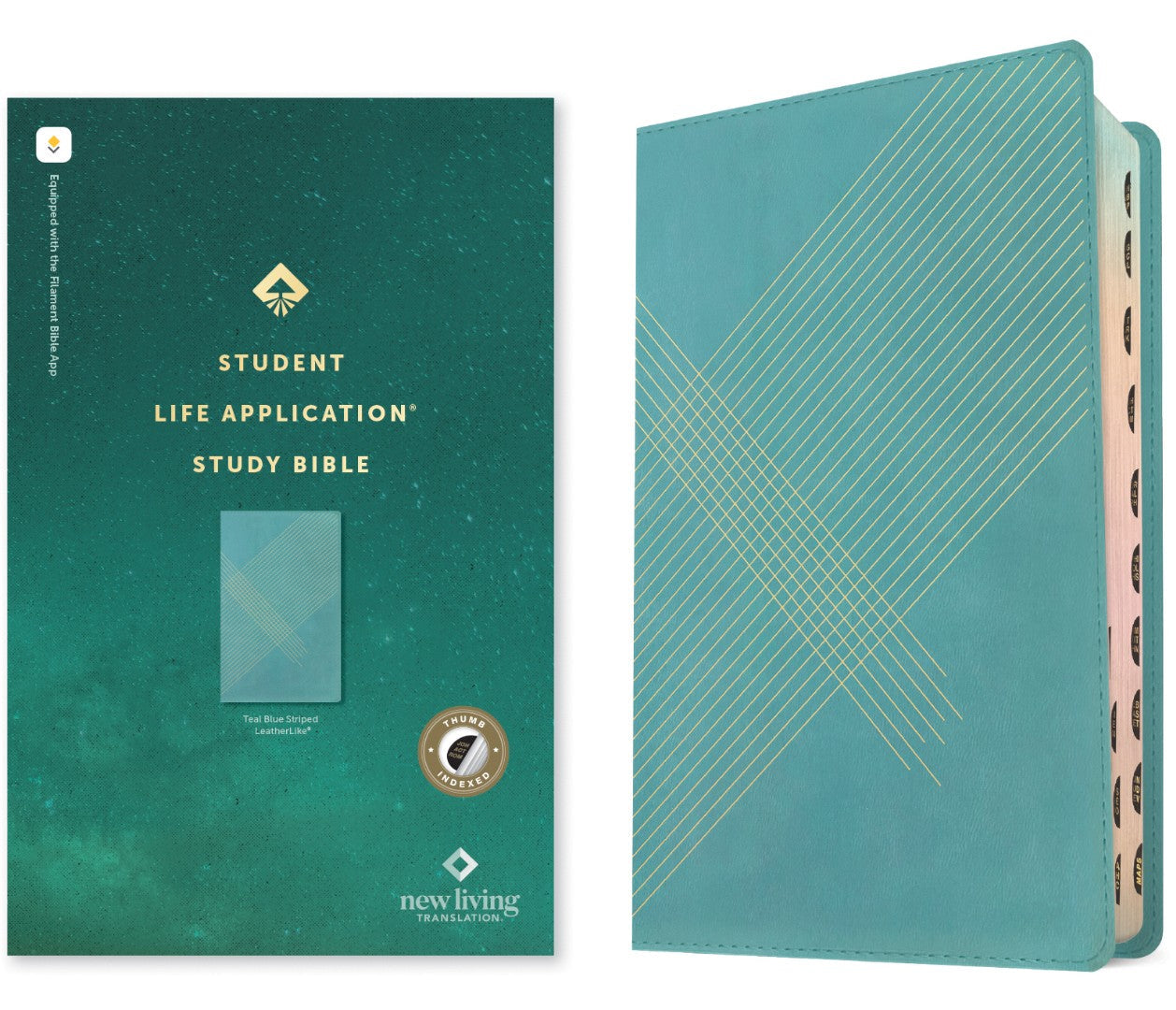 NLT Student Life Application Study Bible, Filament Edition - Re-vived