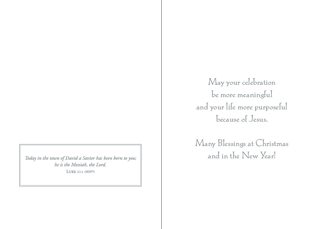 Love Came at Christmas Boxed Christmas Cards (Box of 12) - Re-vived