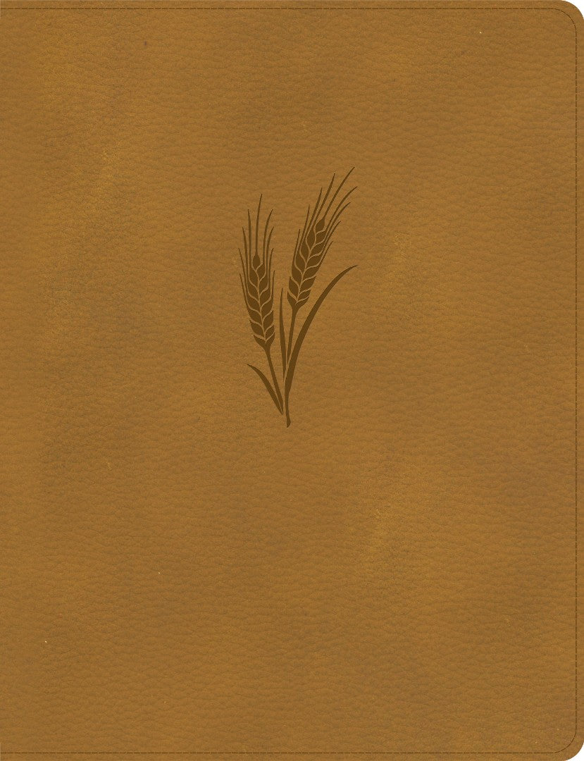 CSB Notetaking Bible, Large Print Edition, Camel - Re-vived