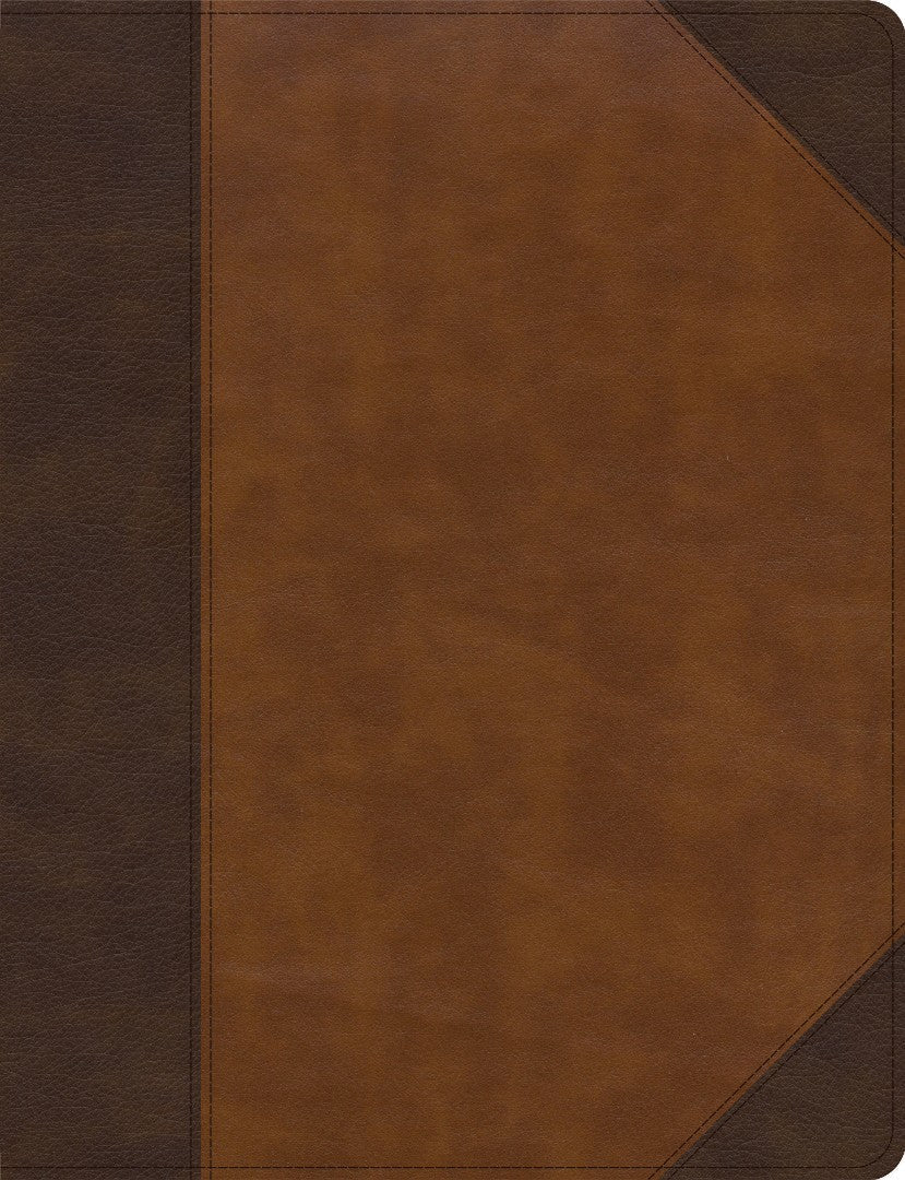 KJV Notetaking Bible, Large Print Edition, Brown/Tan - Re-vived