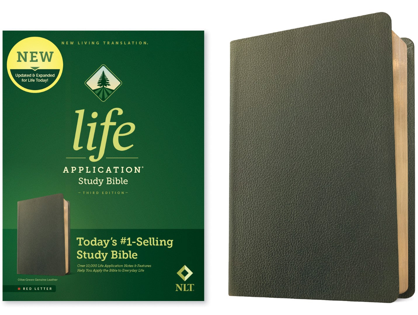 NLT Life Application Study Bible, Third Edition - Re-vived