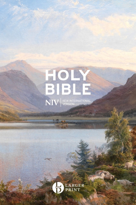 NIV Larger Print Gift Hardback Bible - Re-vived