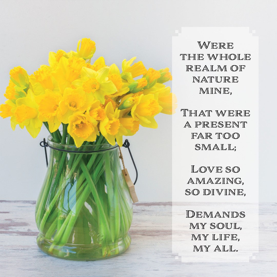 Were The Whole Realm Easter Cards (Pack of 5) - Re-vived