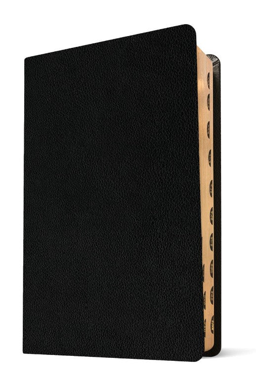 NLT Thinline Center-Column Reference Bible, Filament Edition - Re-vived