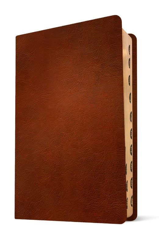 NLT Thinline Center-Column Reference Bible, Filament Edition - Re-vived