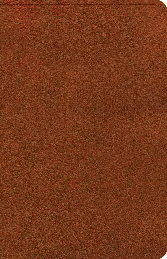 NASB Personal Size Bible, Burnt Sienna Leathertouch - Re-vived