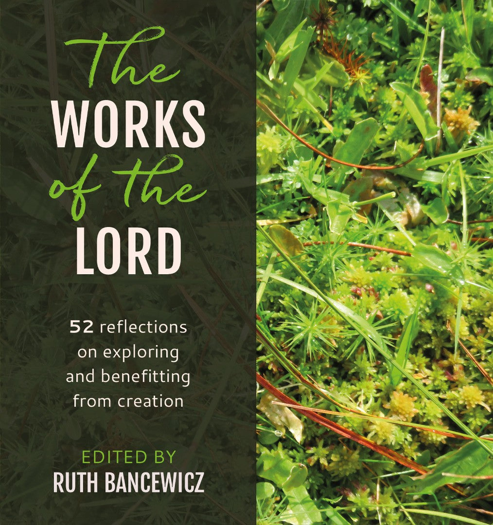 The Works of the Lord - Re-vived