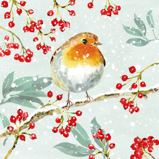 Christmas Cards: Robin & Berries (Pack Of 4) - Re-vived
